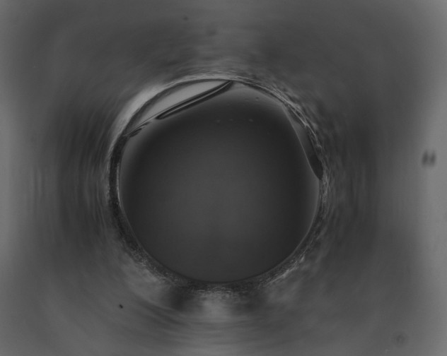 X0000091550200200708241802