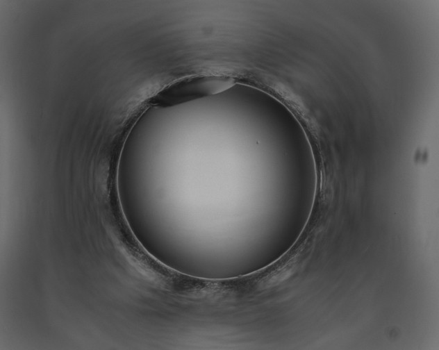 X0000091550201200708241802