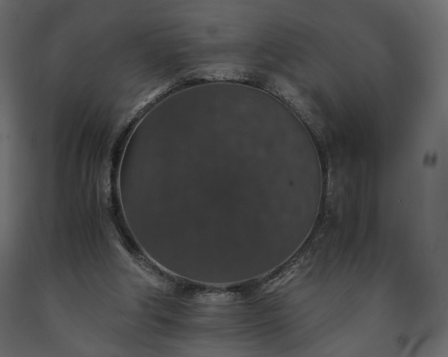 X0000091550202200708241802
