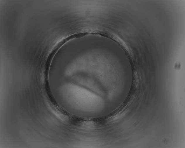 X0000091550203200708241802
