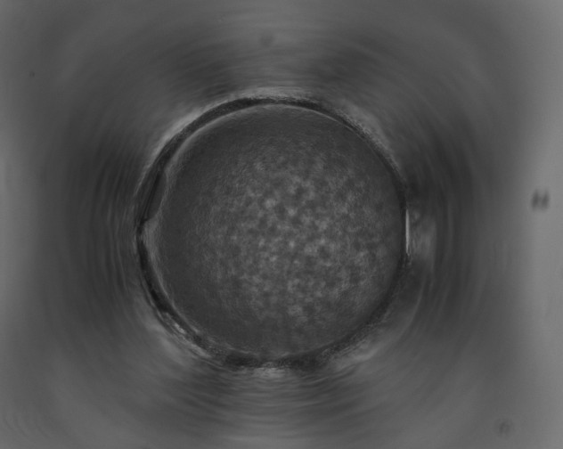 X0000091550204200708241802