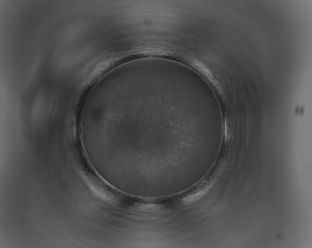 X0000091550205200708241802