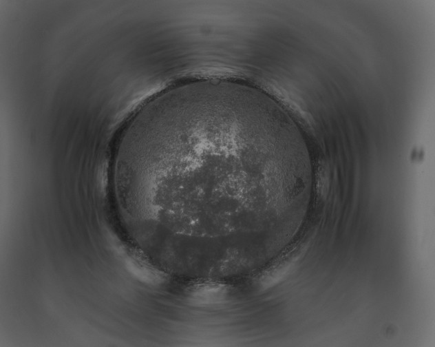 X0000091550206200708241802
