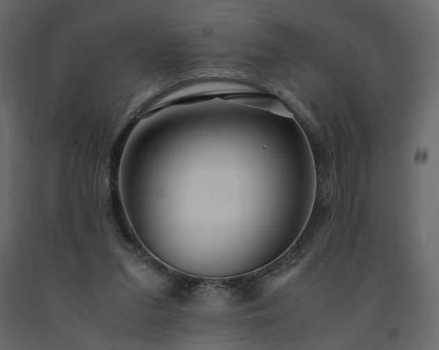 X0000091550207200708241802