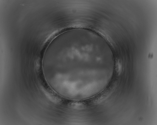 X0000091550208200708241802