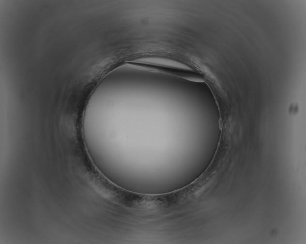 X0000091550209200708241802