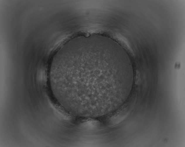 X0000091550210200708241802