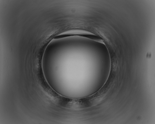 X0000091550211200708241802