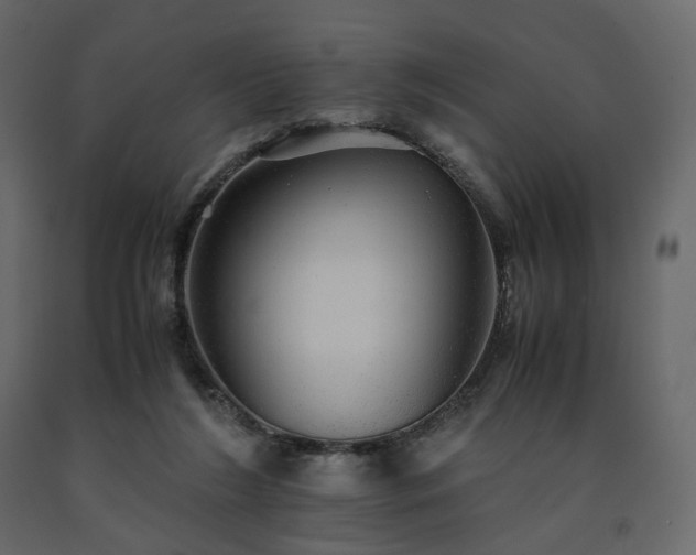 X0000091550212200708241802
