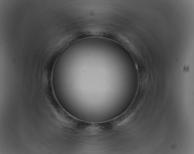 X0000091550213200708241802