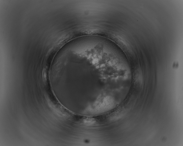 X0000091550214200708241802