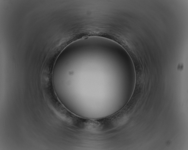 X0000091550215200708241802