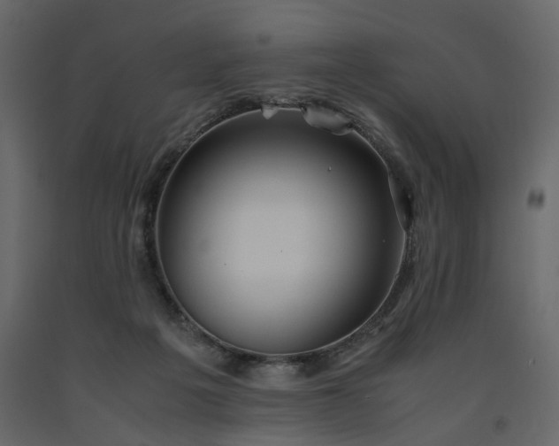 X0000091550217200708241802
