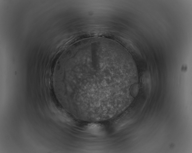 X0000091550218200708241802