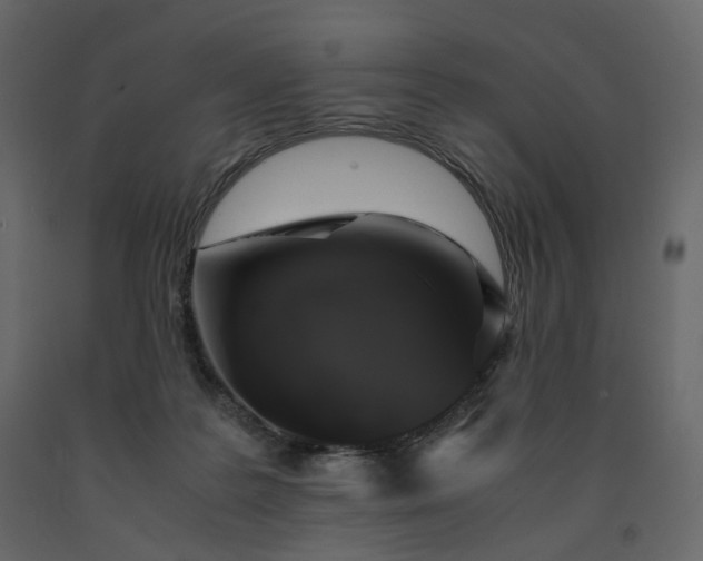 X0000091550219200708241802