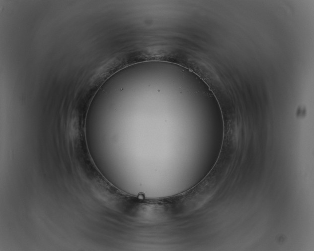 X0000091550220200708241802