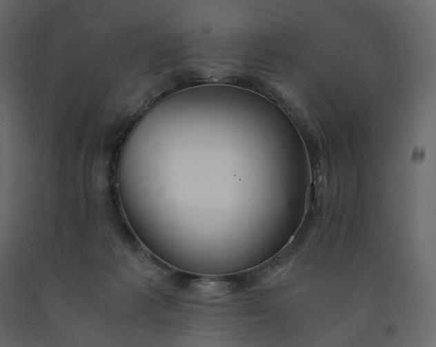 X0000091550221200708241802