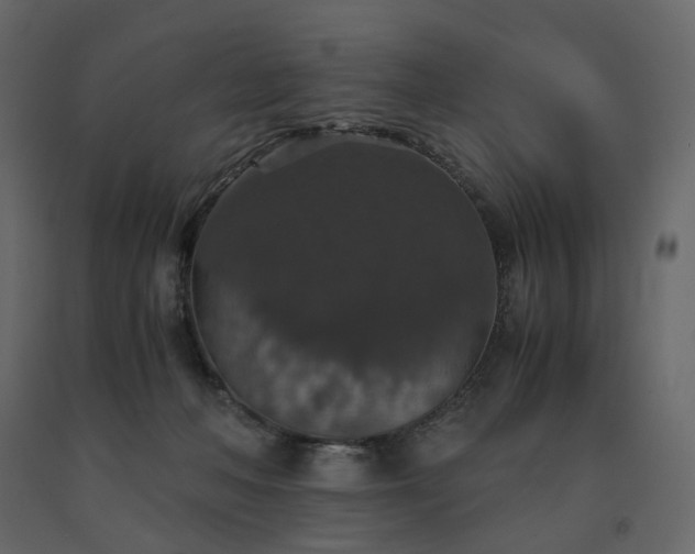 X0000091550222200708241802
