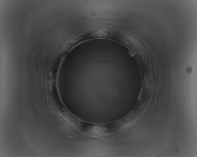 X0000091550223200708241802