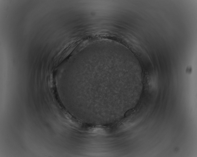 X0000091550224200708241802