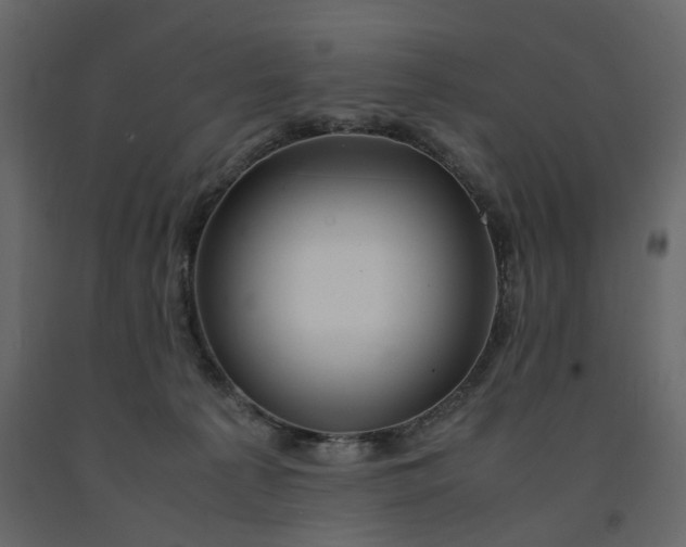X0000091550225200708241802