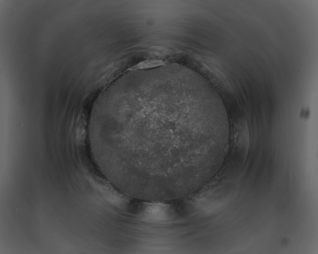 X0000091550226200708241802