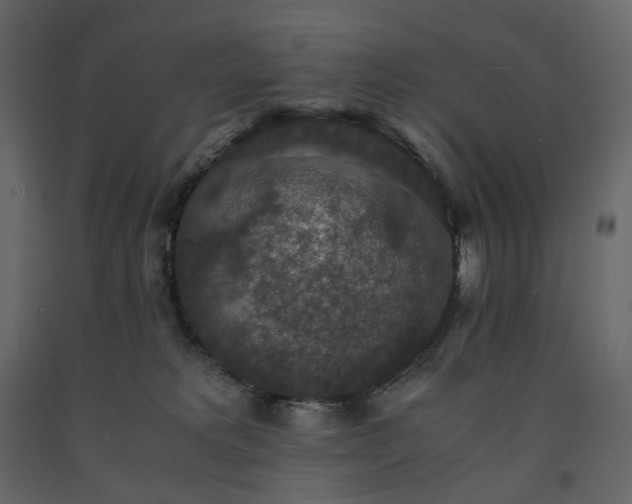 X0000091550229200708241802