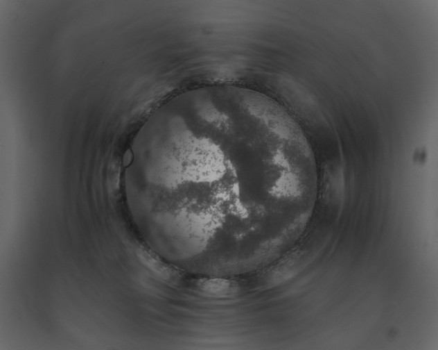 X0000091550230200708241802