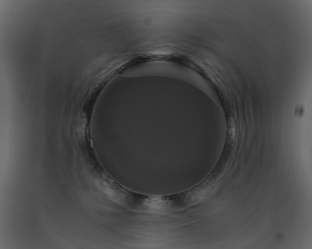 X0000091550231200708241802