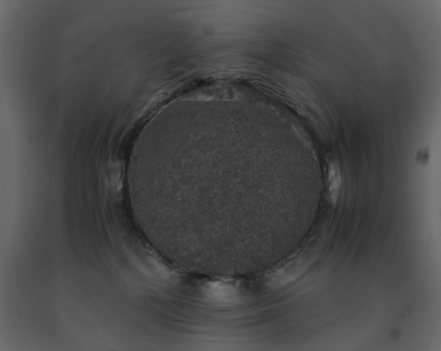 X0000091550232200708241802