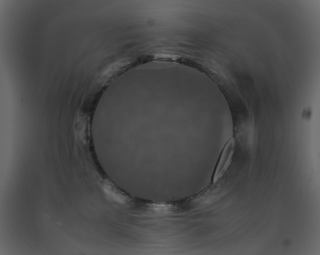 X0000091550233200708241802