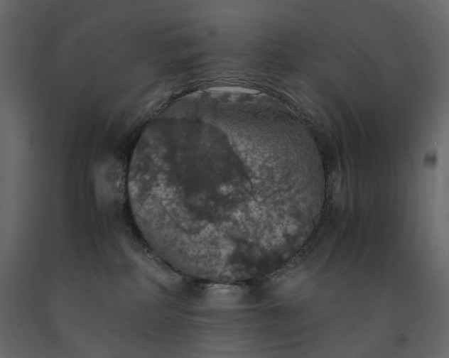 X0000091550234200708241802