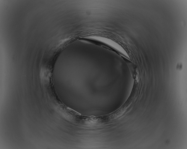 X0000091550235200708241802