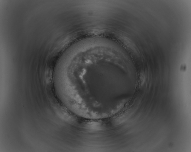 X0000091550236200708241802