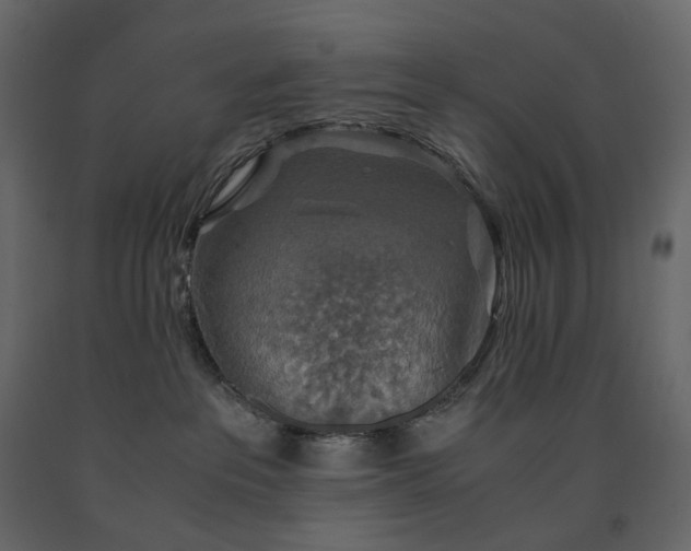 X0000091550237200708241802