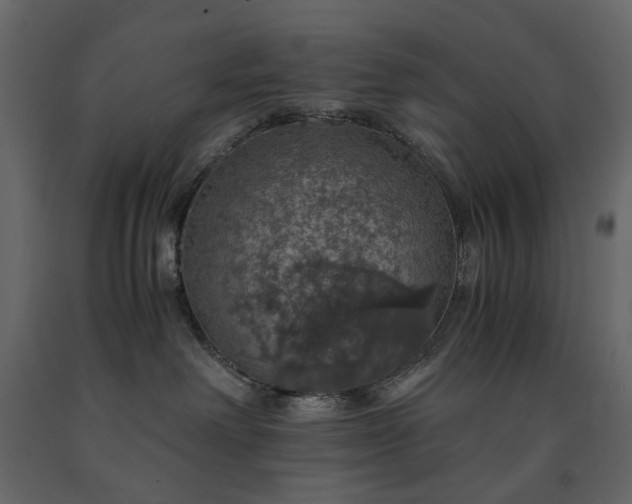 X0000091550238200708241802