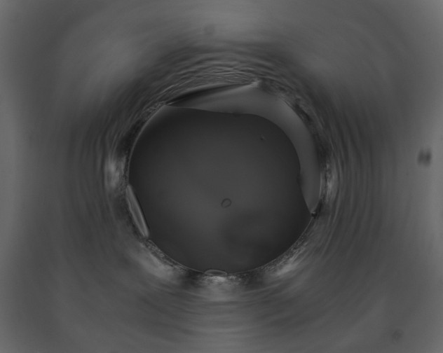 X0000091550239200708241802