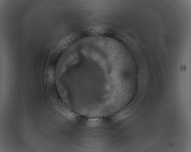 X0000091550240200708241802
