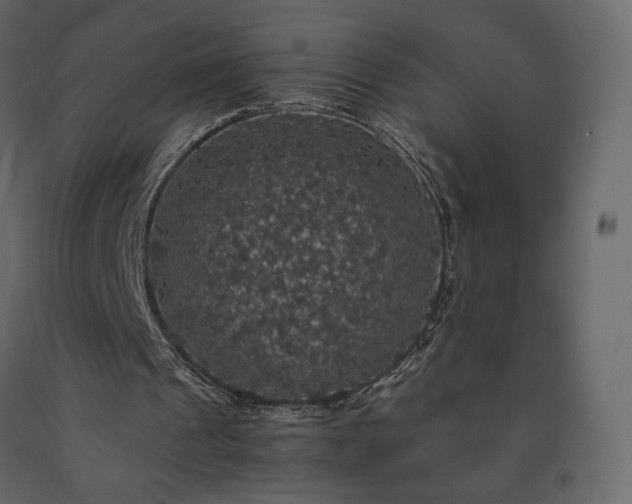 X0000091550241200708241801