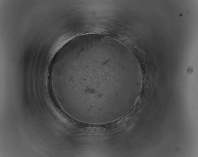 X0000091550242200708241801