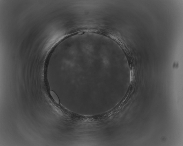 X0000091550243200708241801