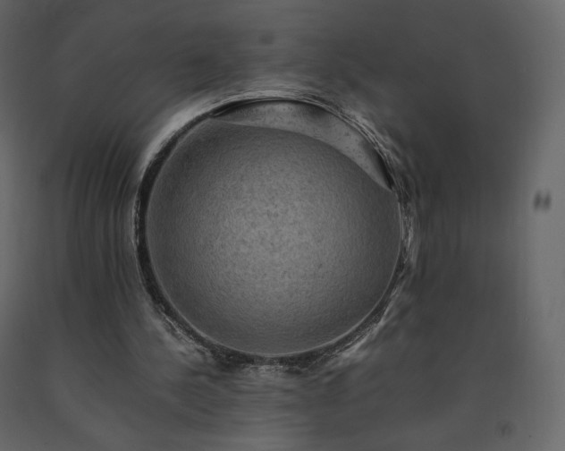 X0000091550244200708241801
