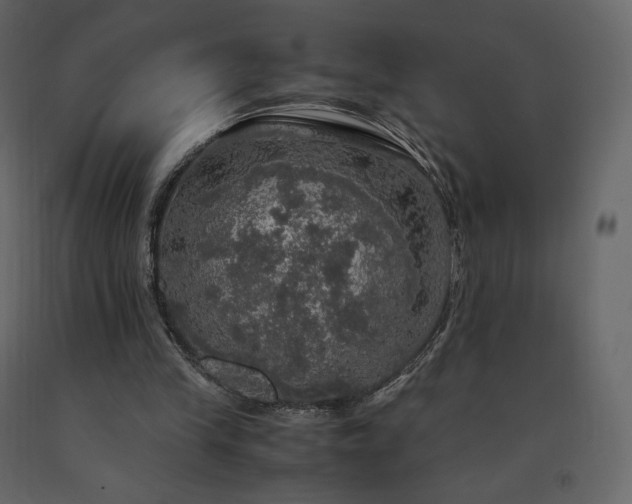 X0000091550245200708241801