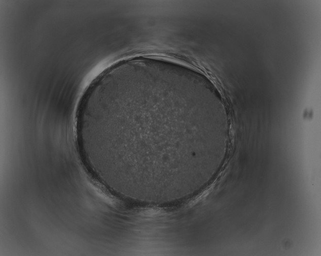 X0000091550246200708241801