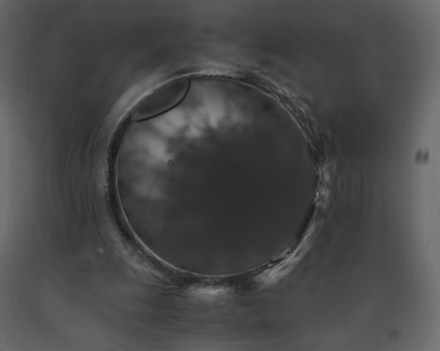 X0000091550247200708241801