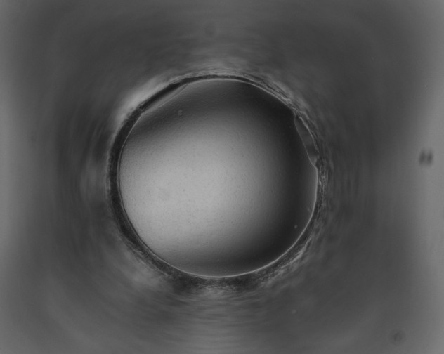 X0000091550248200708241801