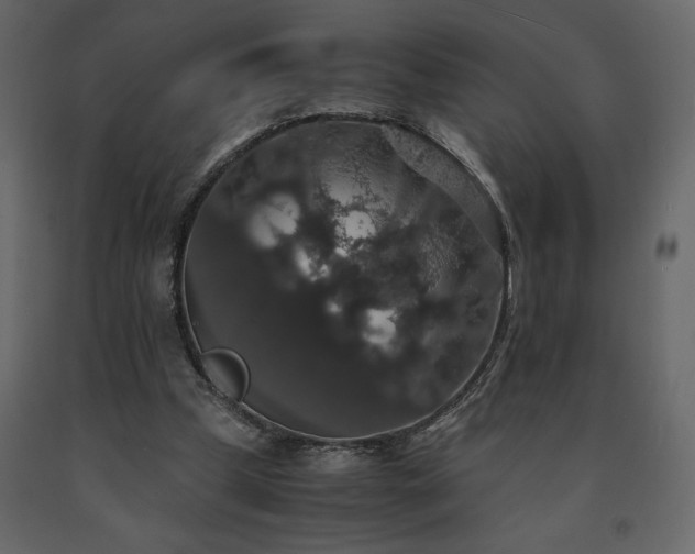 X0000091550249200708241801
