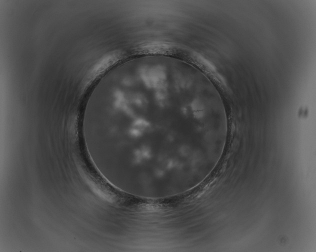 X0000091550250200708241801