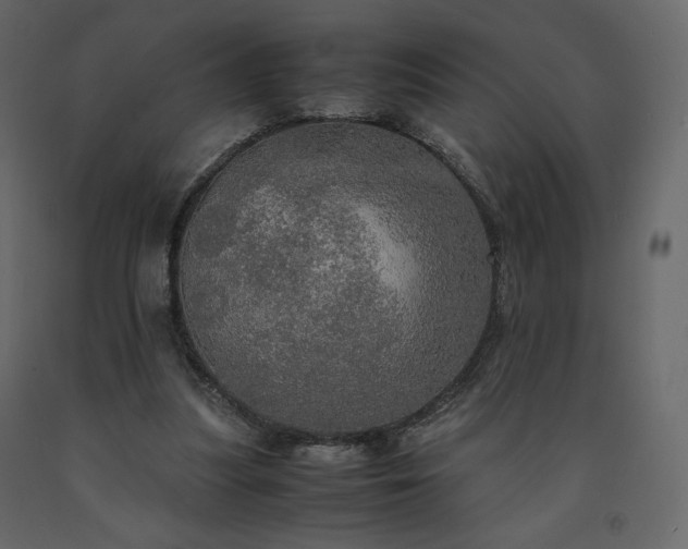 X0000091550251200708241801