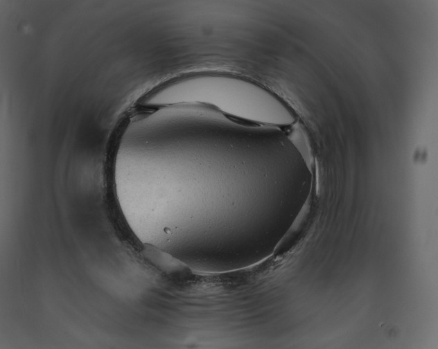 X0000091550252200708241801